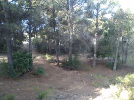 Parcela en venta en Algimia de Alfara, Algimia De Alfara photo 0