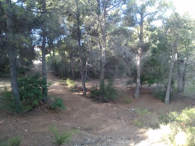 Parcela en venta en Algimia de Alfara, Algimia De Alfara photo 0