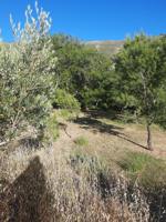 Terreno en venta en Carrascal del Río, Castilla y leon photo 0