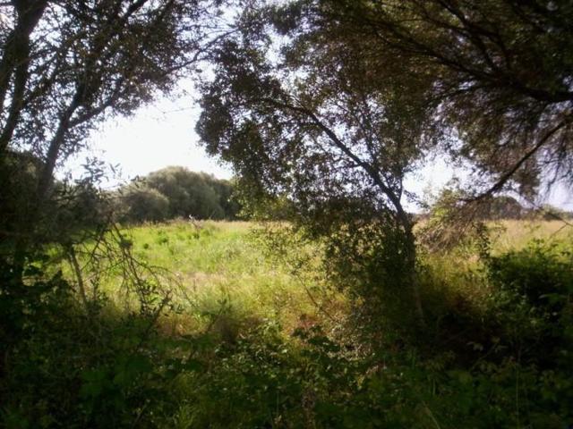 Parcela en venta en Algaida, Mataclar photo 0