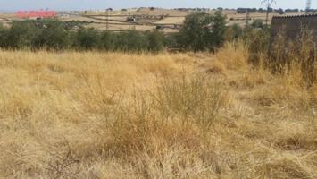 Parcela en venta en Pedroche, Pedroche photo 0