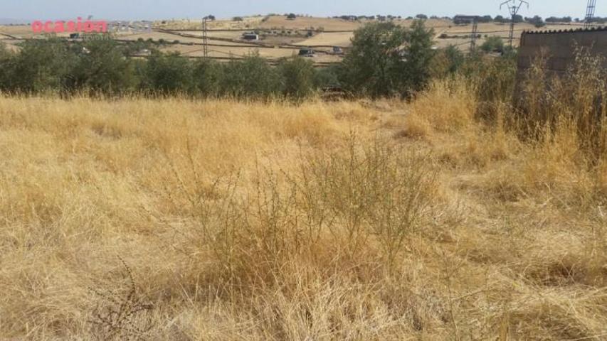 Parcela en venta en Pedroche, Pedroche photo 0