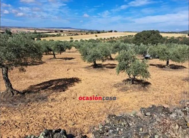 Parcela en venta en La Granjuela, La granjuela photo 0