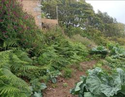 Parcela en venta en El tanque photo 0