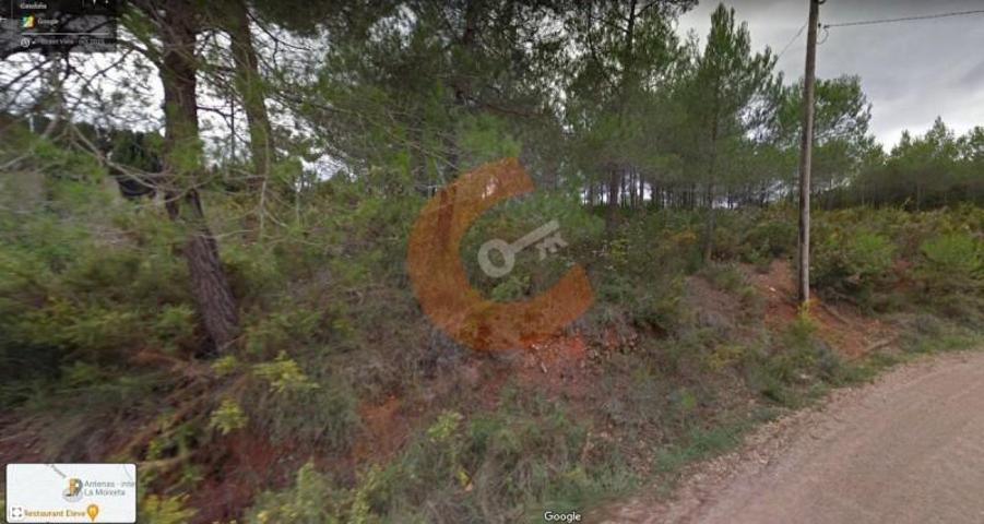 Parcela en venta en Albinyana, Montmell (El) photo 0