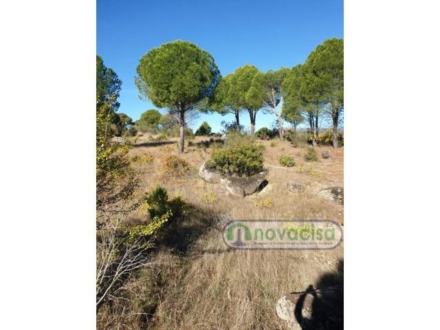 Parcela en venta en El Tiemblo photo 0