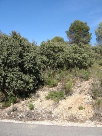 Parcela en venta en Albalate de Zorita, Nueva sierra photo 0