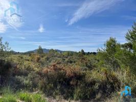 Parcela en venta en Aiguamúrcia photo 0