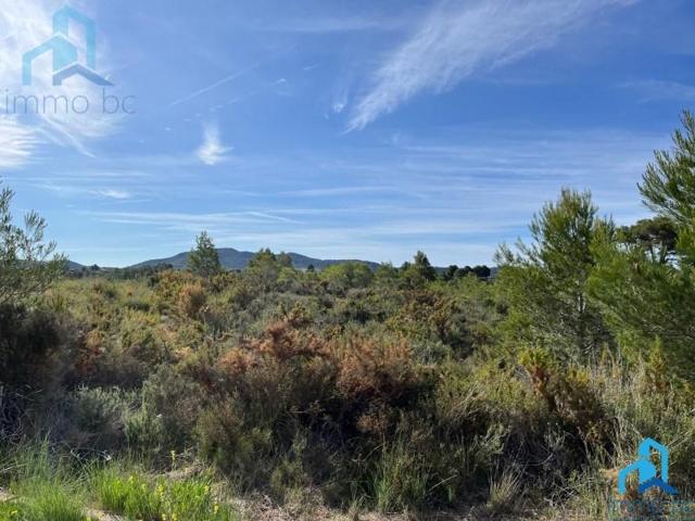 Parcela en venta en Aiguamúrcia photo 0