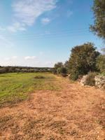 Parcela en venta en Llubí, Llubi photo 0