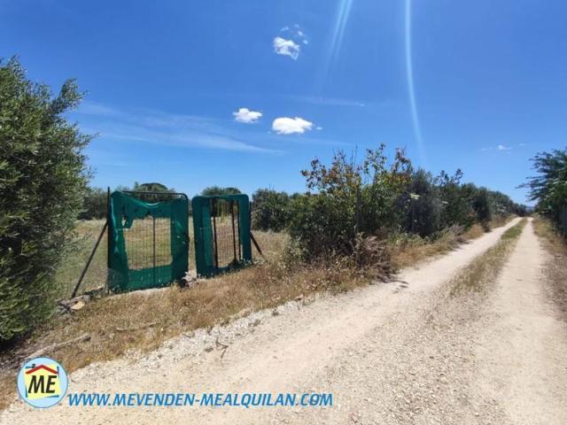 Parcela en venta en La Puebla de Cazalla, La Puebla De Cazalla photo 0