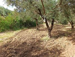 Parcela en venta en Alcolea, Alpujarras Almeria photo 0