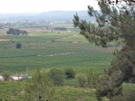 Parcela en venta en Torrelles de Foix, Can Coral photo 0