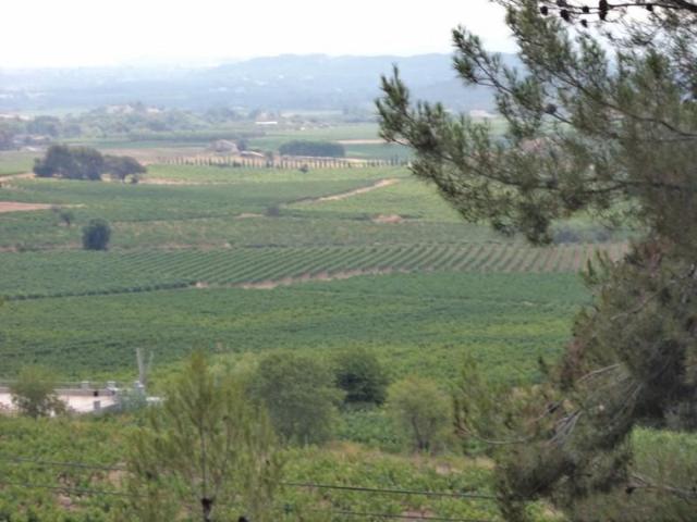 Parcela en venta en Torrelles de Foix, Can Coral photo 0