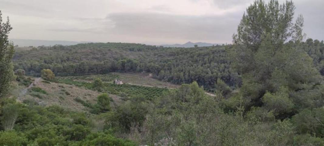 Parcela en venta en Alberic, Alberic photo 0