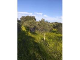 Parcela en venta en Arroyo de la Luz photo 0