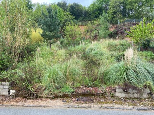 Parcela en venta en Riells y Viabrea, Riells y Viabrea photo 0