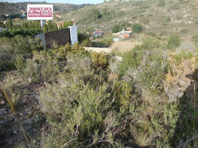 Parcela en venta en Alfarp, Urb. almaguer photo 0