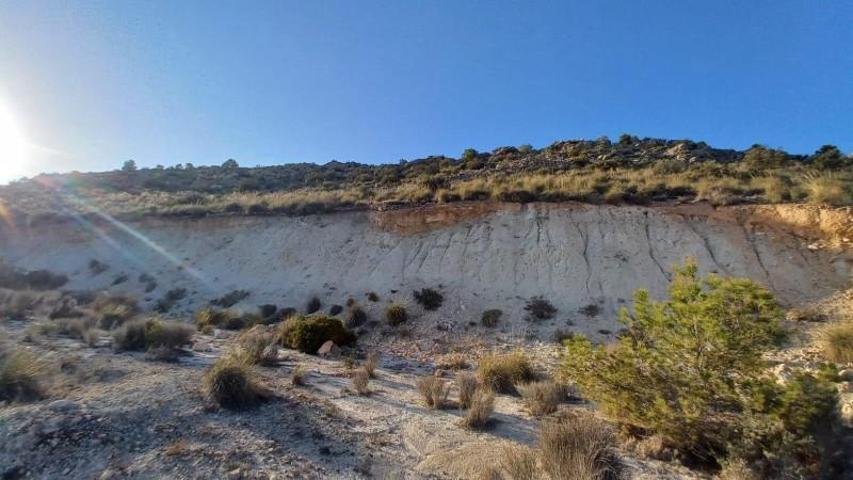 Parcela en venta en La Romana, Comunidad valenciana photo 0