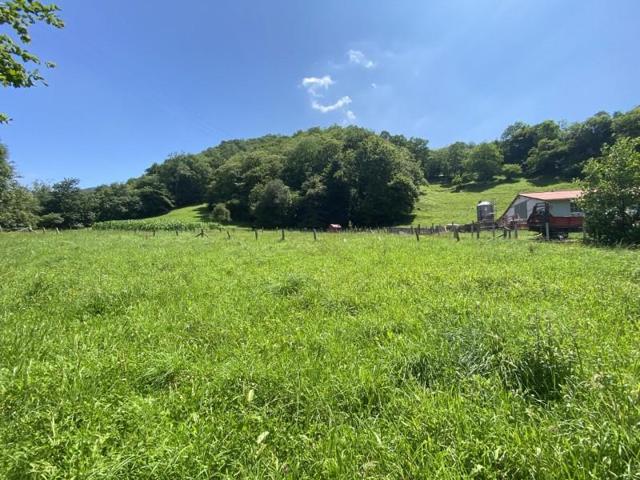 Parcela en venta en Cangas de Onís, Cangas de Onís photo 0