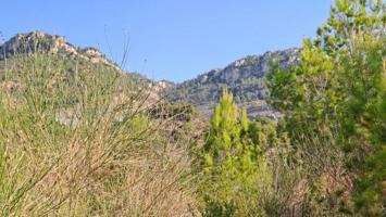 Parcela en venta en Alforja, Arboli photo 0