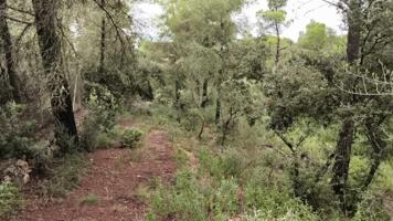 Parcela en venta en Felanitx, Felanitx photo 0