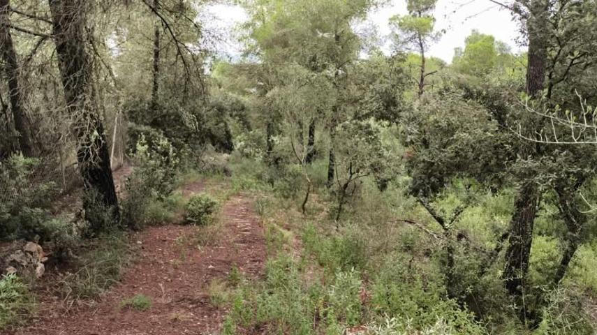 Parcela en venta en Felanitx, Felanitx photo 0