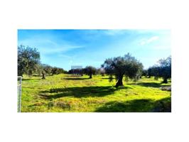 Parcela en venta en Valdefuentes photo 0