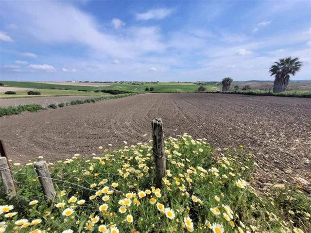Parcela en venta en Chiclana de la Frontera, Los Llanos de San Vicente photo 0