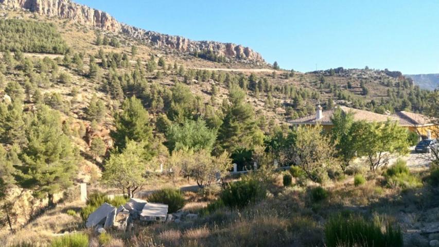 Parcela en venta en Nerpio, Nerpio photo 0