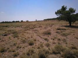 Parcela en venta en Almansa, Cuesta castilla photo 0