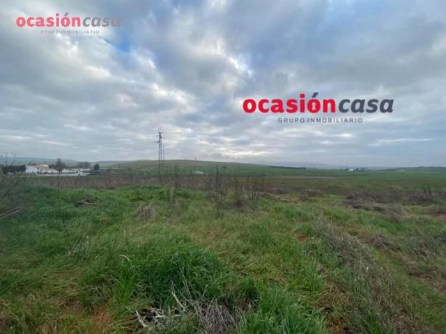 Parcela en venta en Bélmez, Belmez photo 0