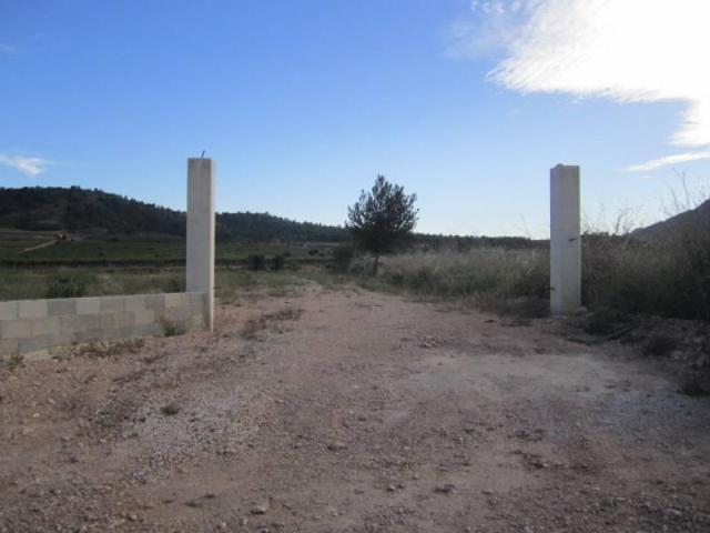 Parcela en venta en Aspe, Alcana photo 0