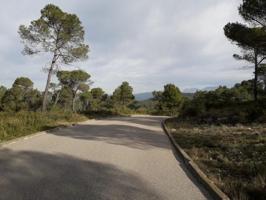 Parcela en venta en Mediona, LA FONT DEL BOSC photo 0