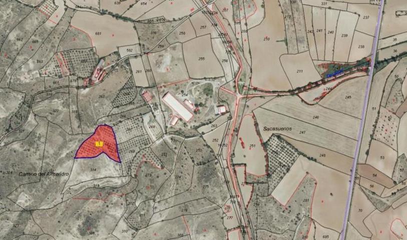 Terreno en venta en Torrelaguna, Torrelaguna photo 0