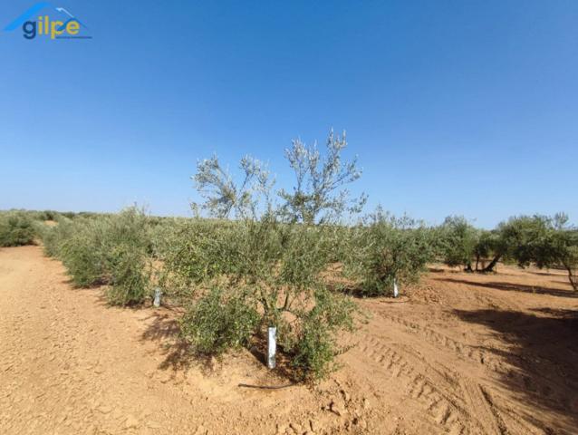Parcela en venta en Arahal, Arahal photo 0