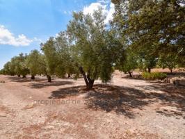 Parcela en venta en Caudete photo 0