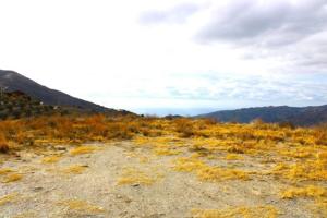 Parcela en venta en Jete, ALMUÑECAR photo 0