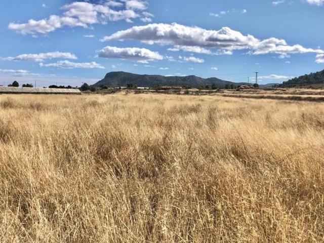Parcela en venta en La Romana, LOS PALAOS photo 0