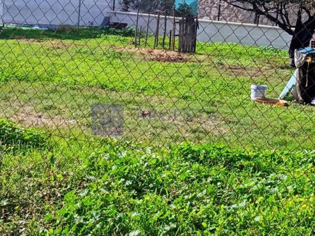 Parcela en venta en Aldea del Cano photo 0