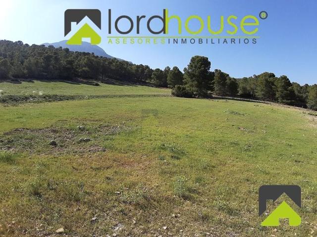 Parcela en venta en Lorca, Aviles photo 0