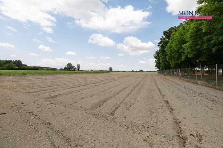 Parcela en venta en Pinos Puente, Carretera de fuente vaqueros photo 0