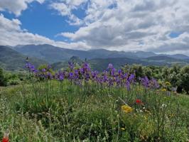 Parcela en venta en Benaocaz, Tavizna photo 0