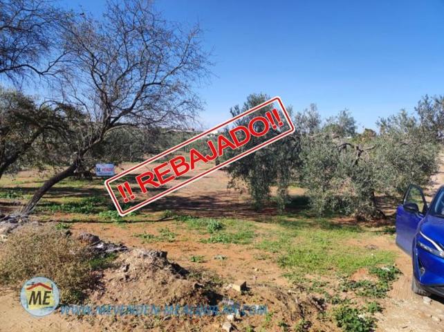 Parcela en venta en La Puebla de Cazalla, La Puebla De Cazalla photo 0