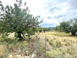 Parcela en venta en Monserrat, Monserrat photo 0