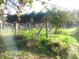 Parcela en venta en Vedra, Illobre photo 0