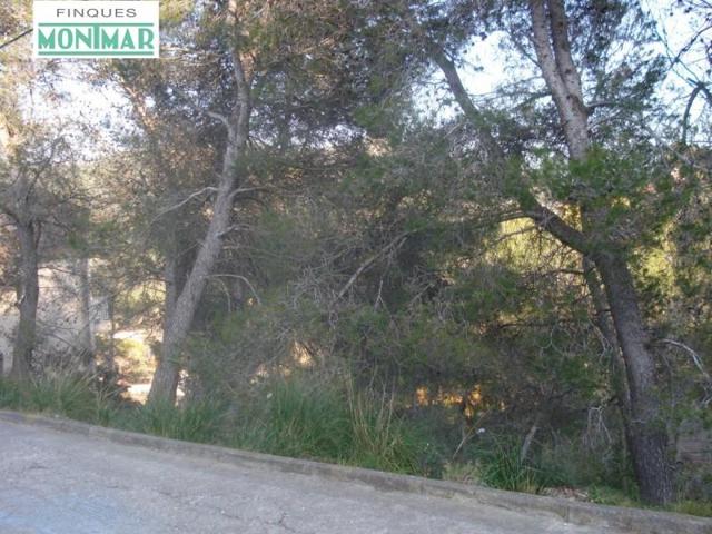 Parcela en venta en Olivella, Mas Milà photo 0