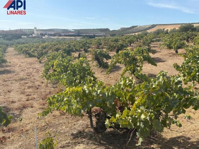 Parcela en venta en Bailén, Bailen photo 0