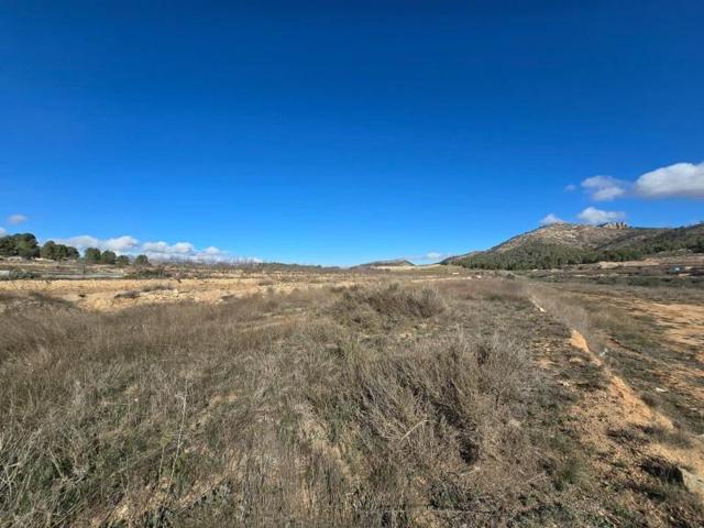 Parcela en venta en Monovar-Monover, LA ROMANETA photo 0