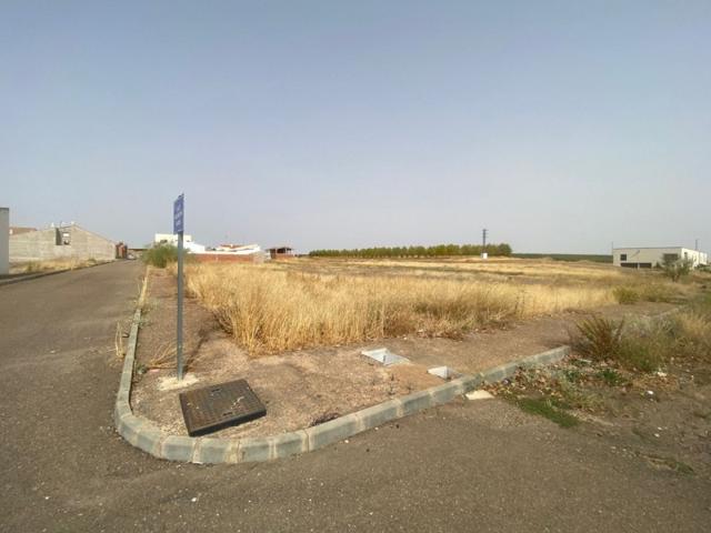 Parcela en venta en Badajoz, Albuera (La) photo 0